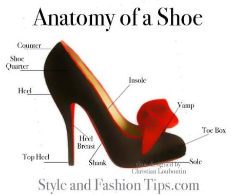 anatomy of a shoe